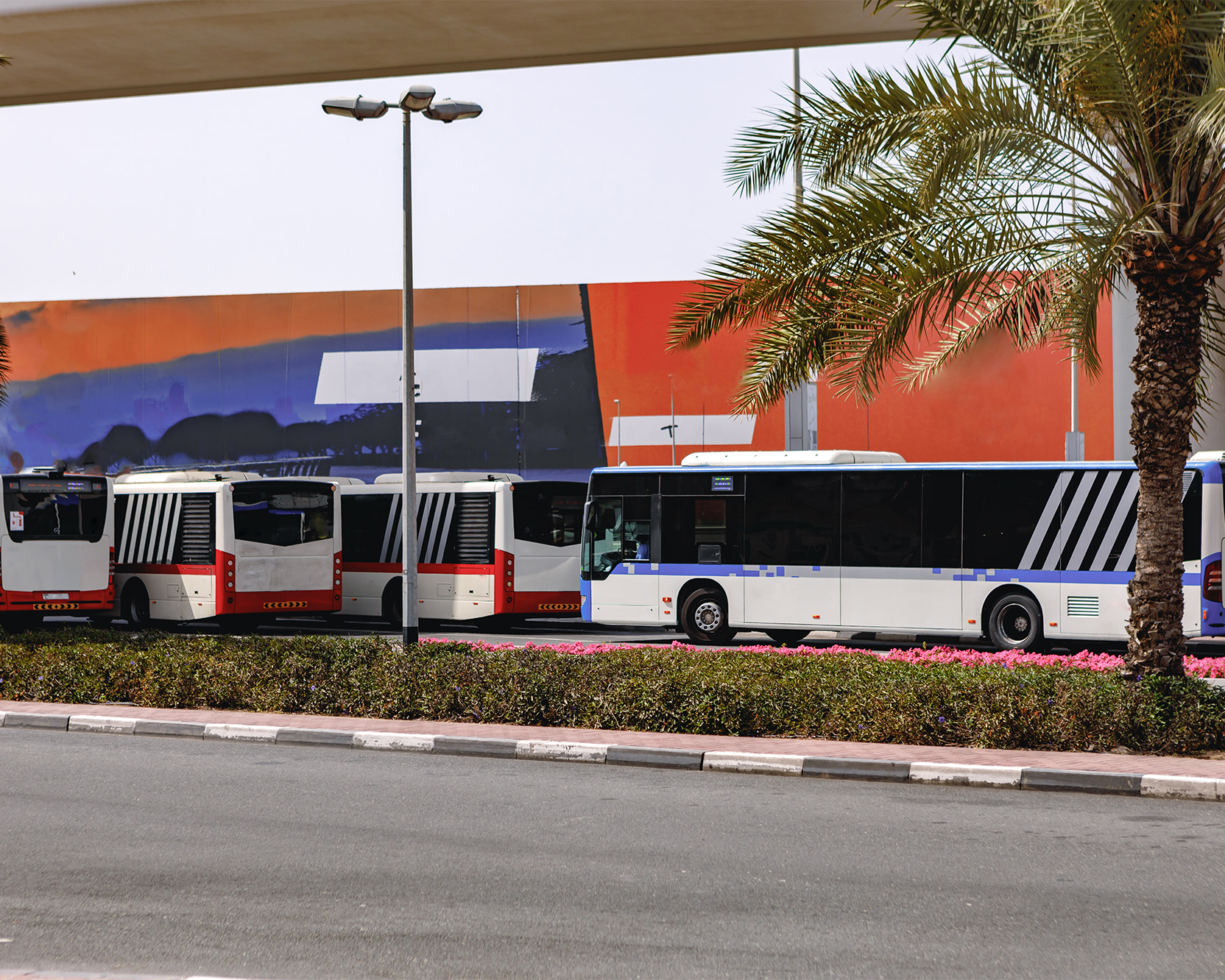 Mısır’da Ulaşım Rehberi