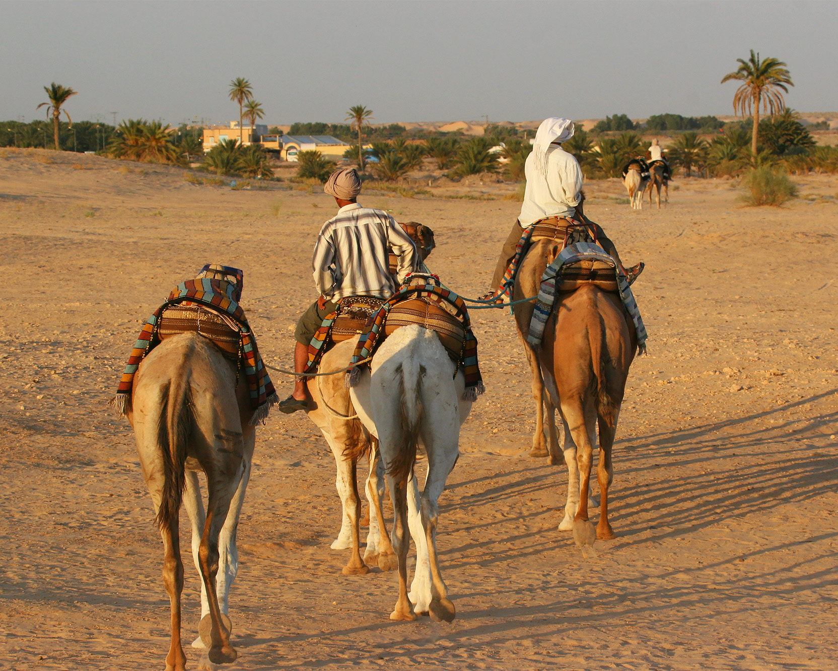 Siwa Vahası: Çölün Ortasında Gizli Bir Cennet